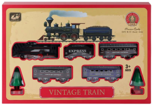 CAN-KUTULU 21 PARÇA PİLLİ TREN (18)