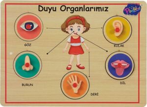 ONYIL-AHŞAP TUTMALI ORGANLAR*48
