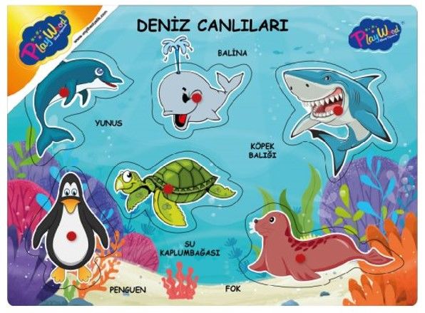 ONYIL-AHŞAP TUTMALI DENİZ CANLILARI*48