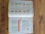 SIFIRDAN ORTA SEVİYEYE SETİ PAKET-1 (6 KİTAP+VİDEO DERSLER)