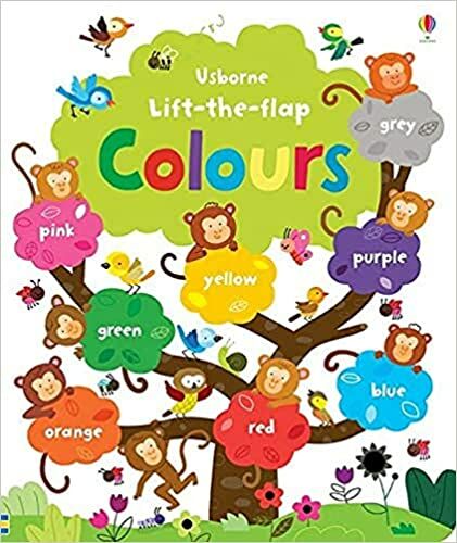 Lift-the-flap Colours Book