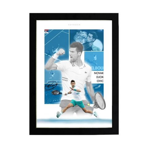 Novak Djokovic, Tennis