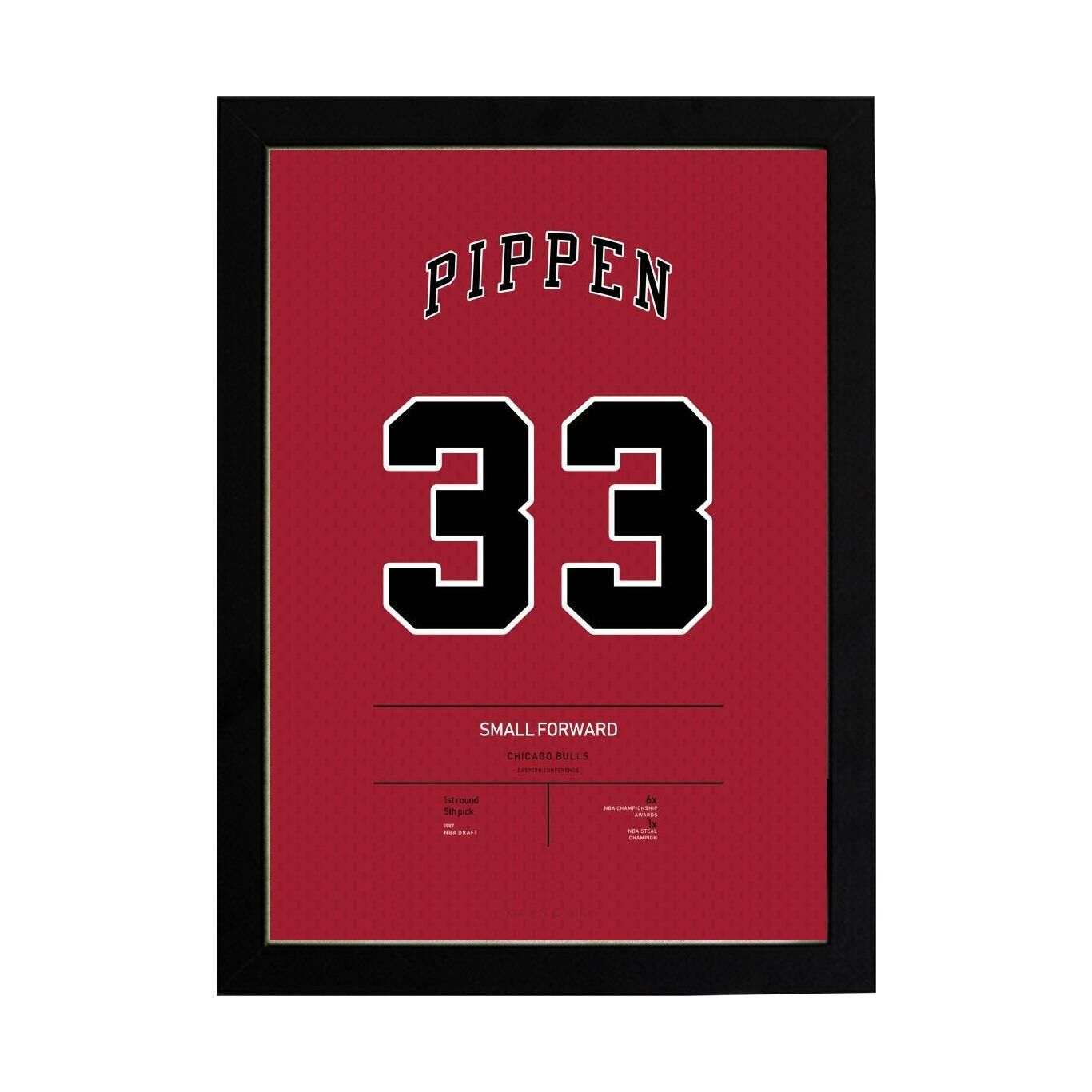 Scottie Pippen Jersey