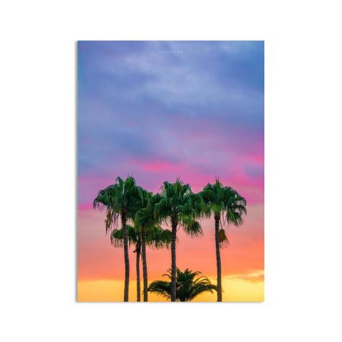 Palm Trees Canvas