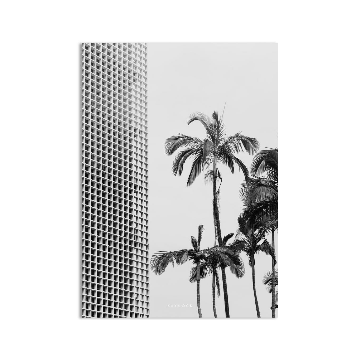 Palm Trees V2, Canvas