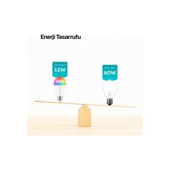 Ttec 2AA01 Lumi Çok Renkli LED Wi-Fi Akıllı Ampul