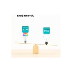 Ttec 2AA01 Lumi Çok Renkli LED Wi-Fi Akıllı Ampul