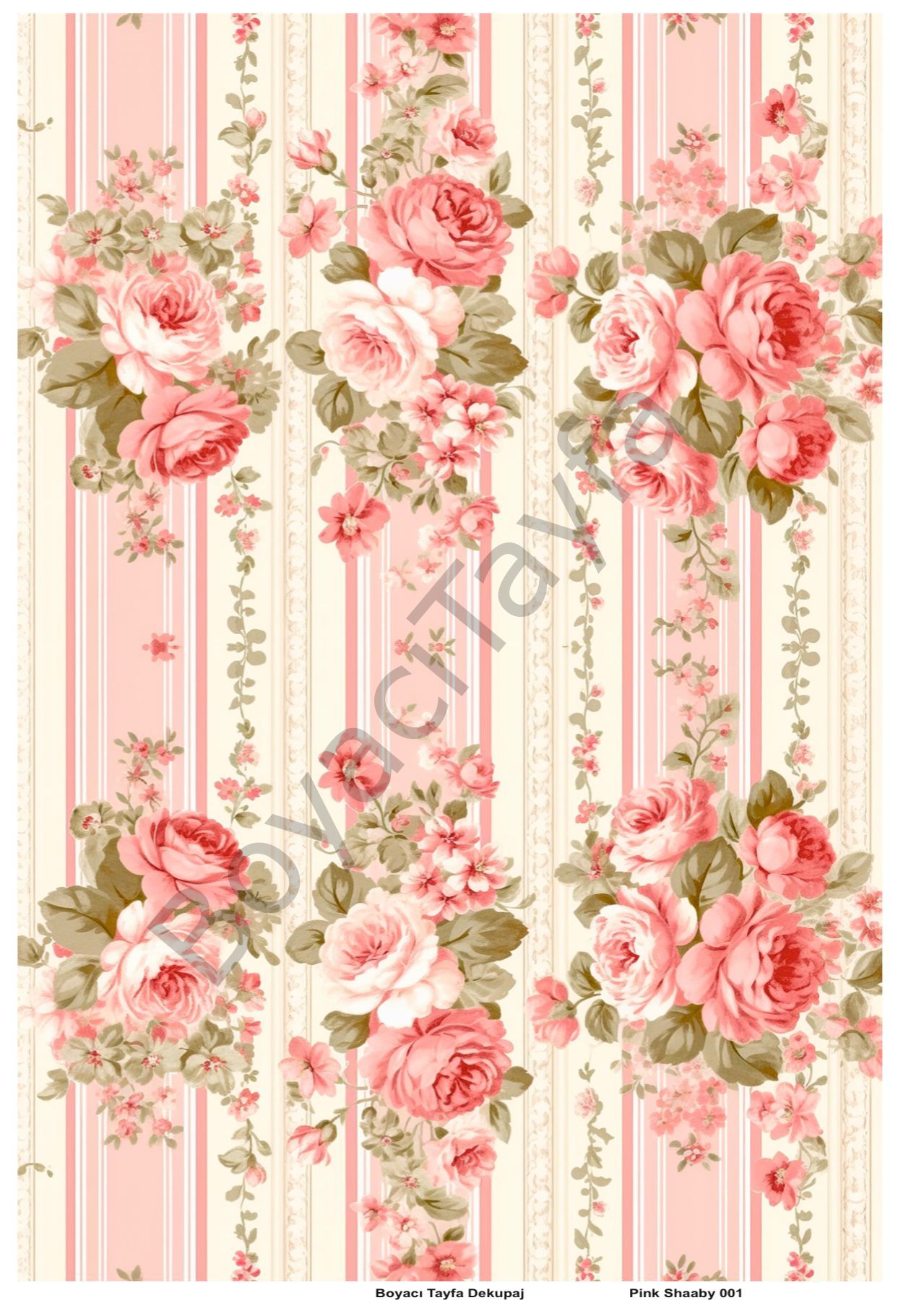 Pink Shaaby 001