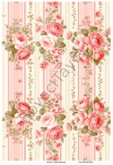 Pink Shaaby 001
