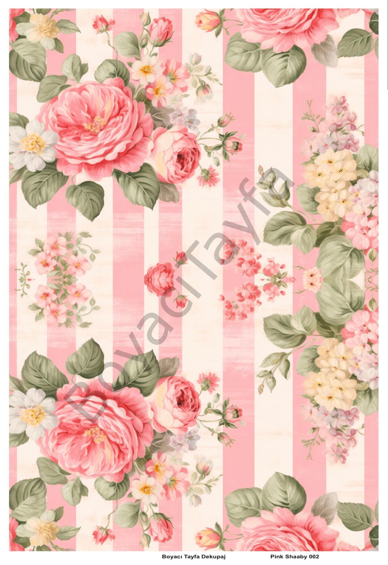 Pink Shaaby 002