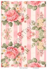 Pink Shaaby 002