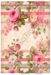 Pink Shaaby 003
