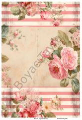Pink Shaaby 004