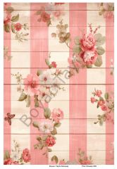Pink Shaaby 009