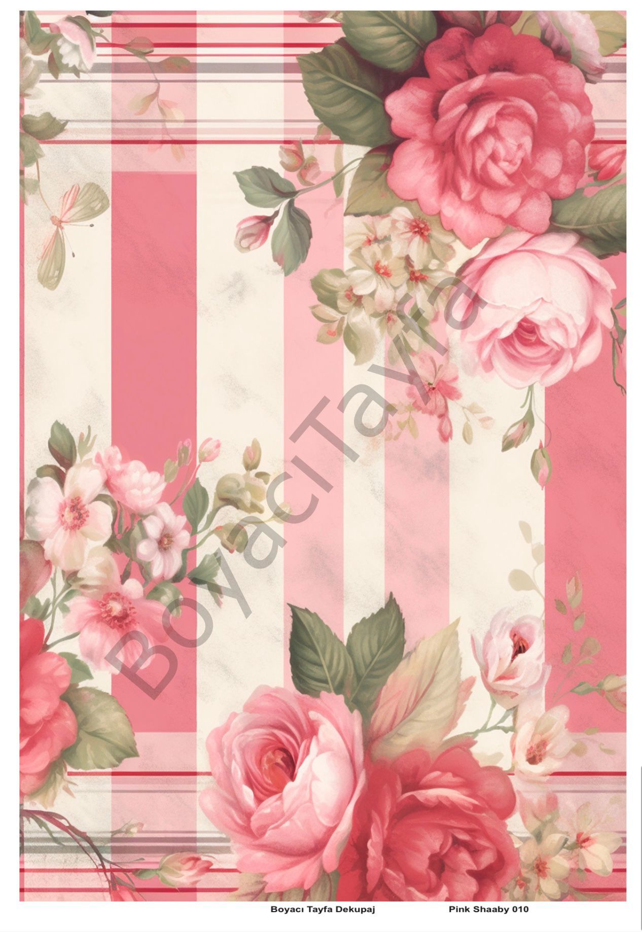 Pink Shaaby 010