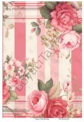 Pink Shaaby 010