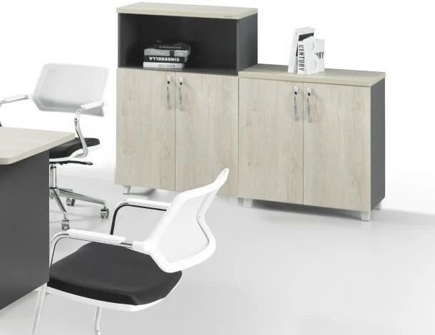 Artek Ofis Kitaplığı, DSK 05/13