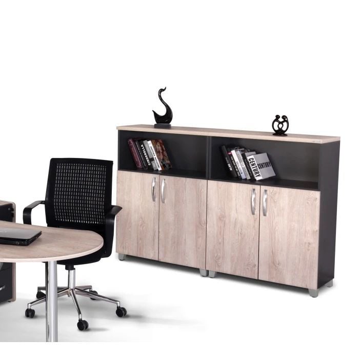 Efes Ofis Kitaplığı, DSK 13