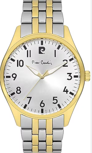 PIERRE CARDIN 800601F10 Erkek Kol Saati