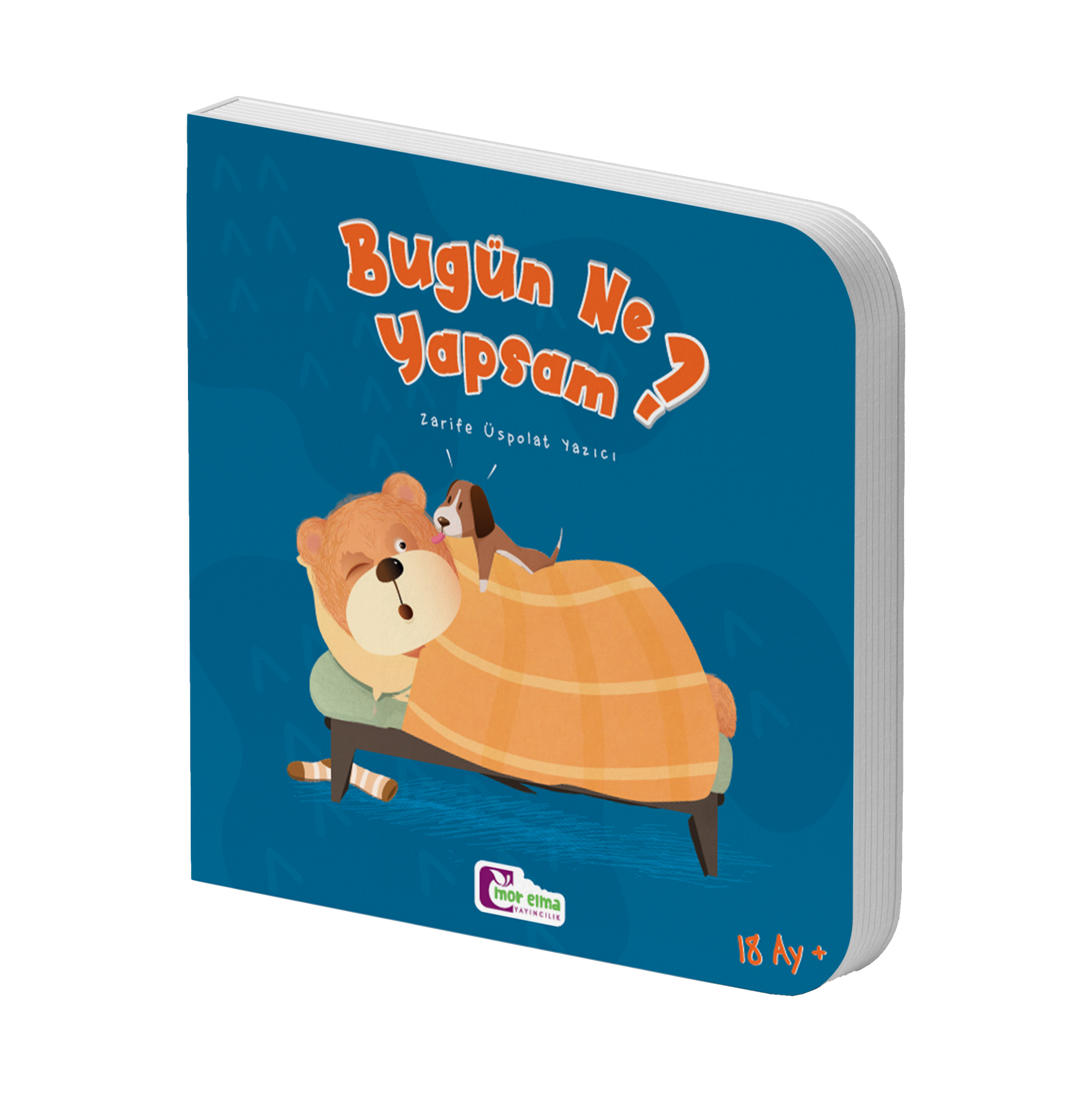 Bugün Ne Yapsam