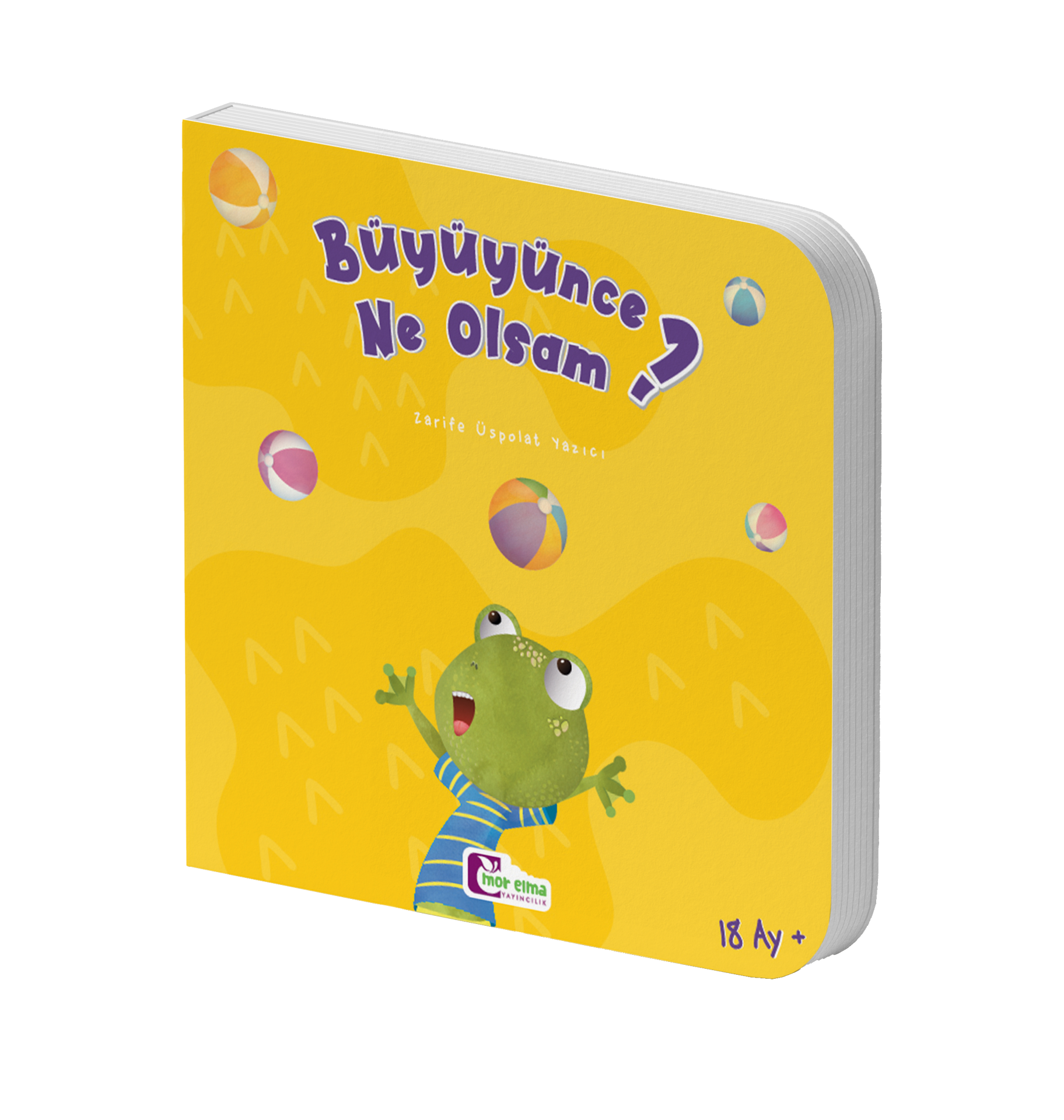 Büyüyünce Ne Olsam