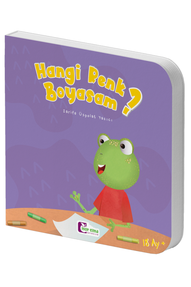 Hangi Renk Boyasam