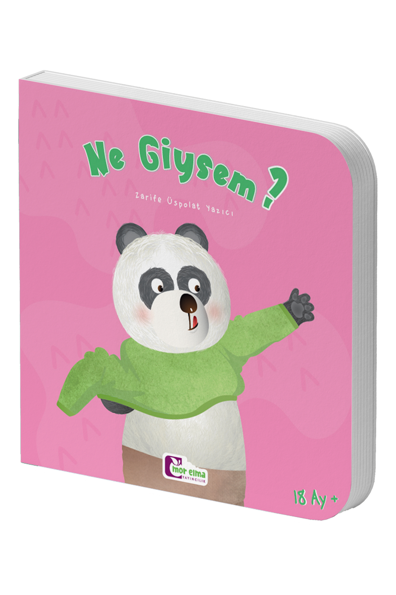 Ne Giysem