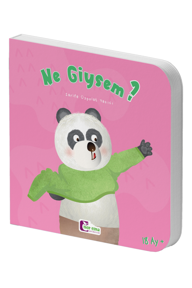 Ne Giysem