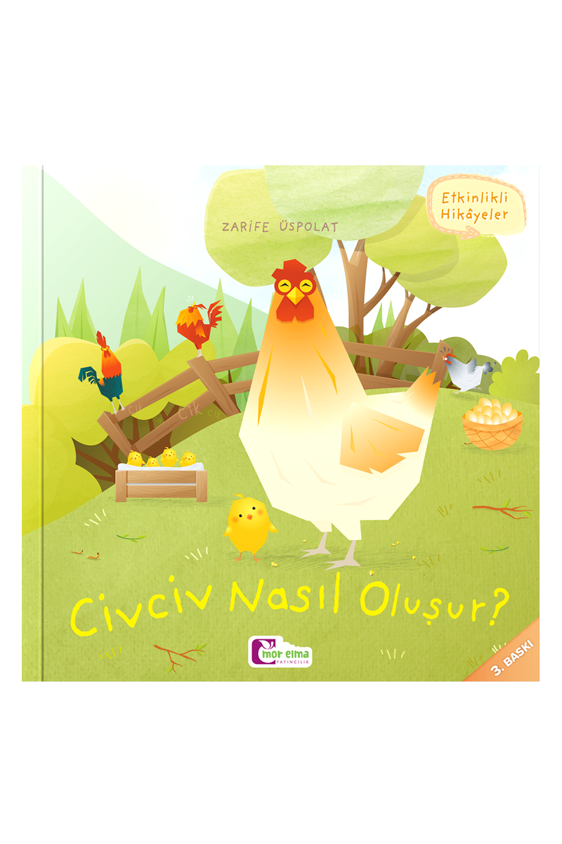 Civciv Nasıl Oluşur