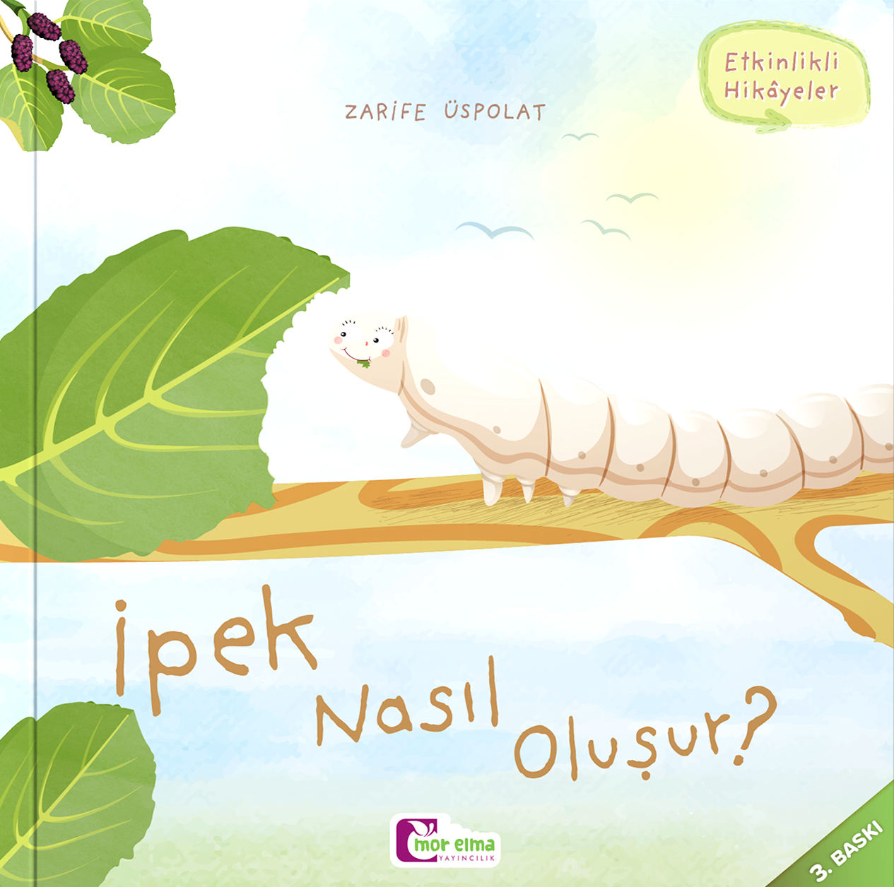 İpek Nasıl Oluşur
