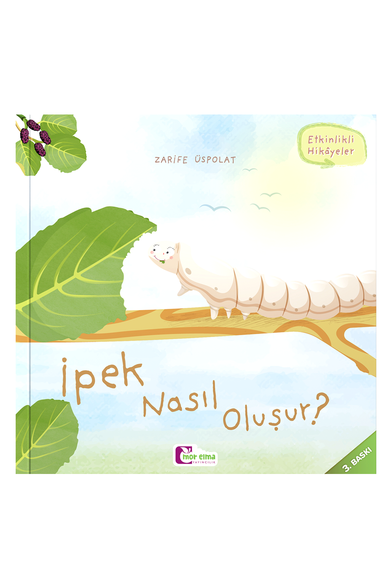 İpek Nasıl Oluşur