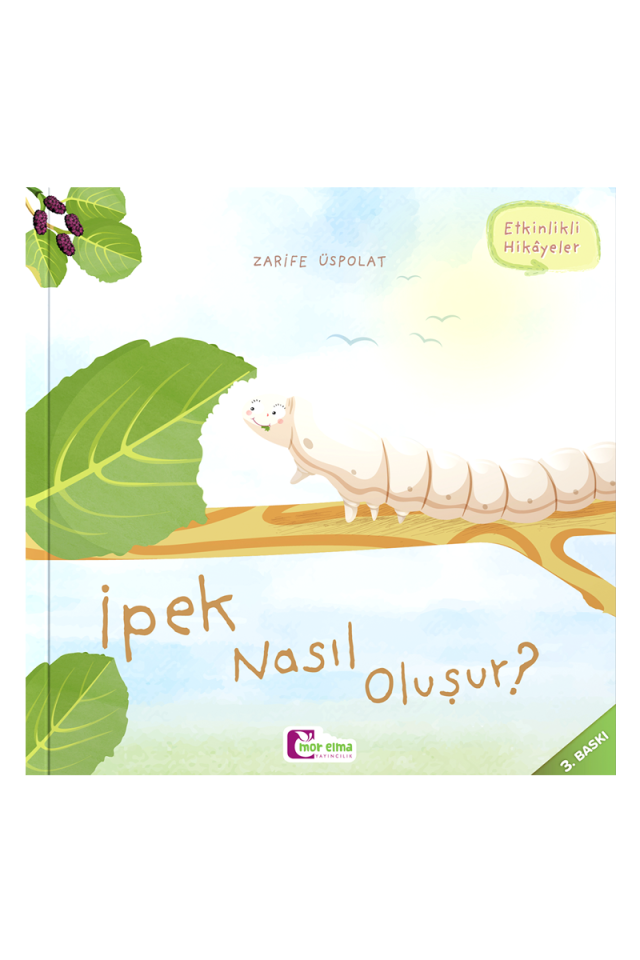 İpek Nasıl Oluşur