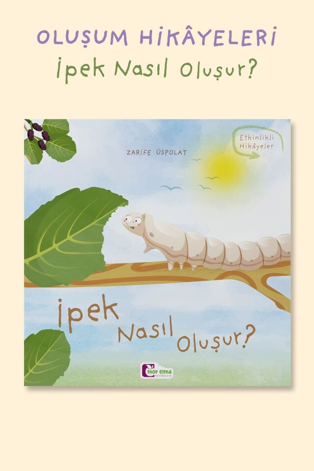 İpek Nasıl Oluşur