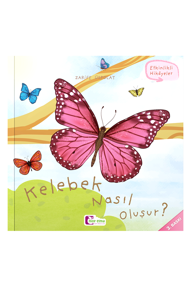 Kelebek Nasıl Oluşur