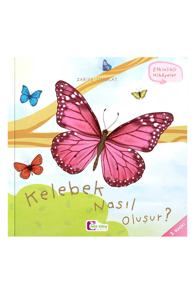 Kelebek Nasıl Oluşur