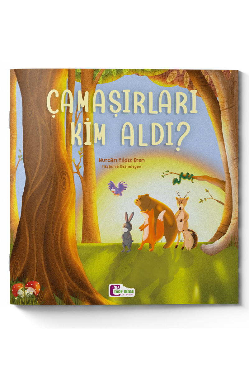 Çamaşırları Kim Aldı - Şiirimsi Masallar