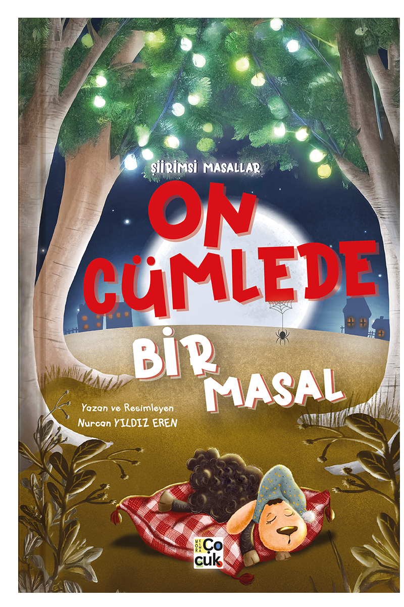 ON CÜMLEDE BİR MASAL