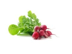 Turp (MİNİK)