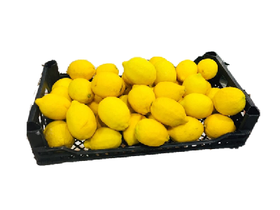 Limon Eski Kg Fiyatı
