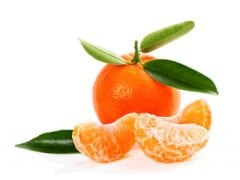 Mandalina No: 0, 00, 000