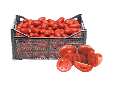 Domates Petemek Kg Fiyatı