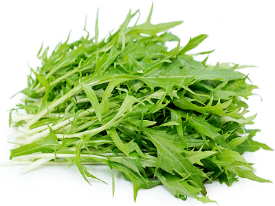Mizuna