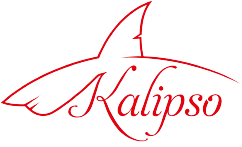 Kalipso Kimya