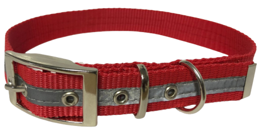 Köpek Boyun Tasmaları