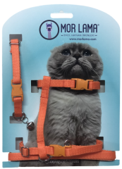 Kedi Göğüs Tasması Turuncu