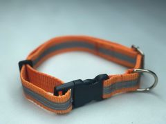 Mor Lama Köpek Boyun Tasması Plastik Tokalı Reflektörlü Mavi