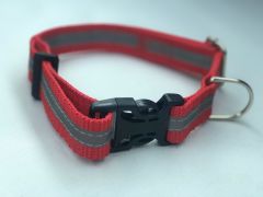 Mor Lama Köpek Boyun Tasması Plastik Tokalı Reflektörlü Mavi