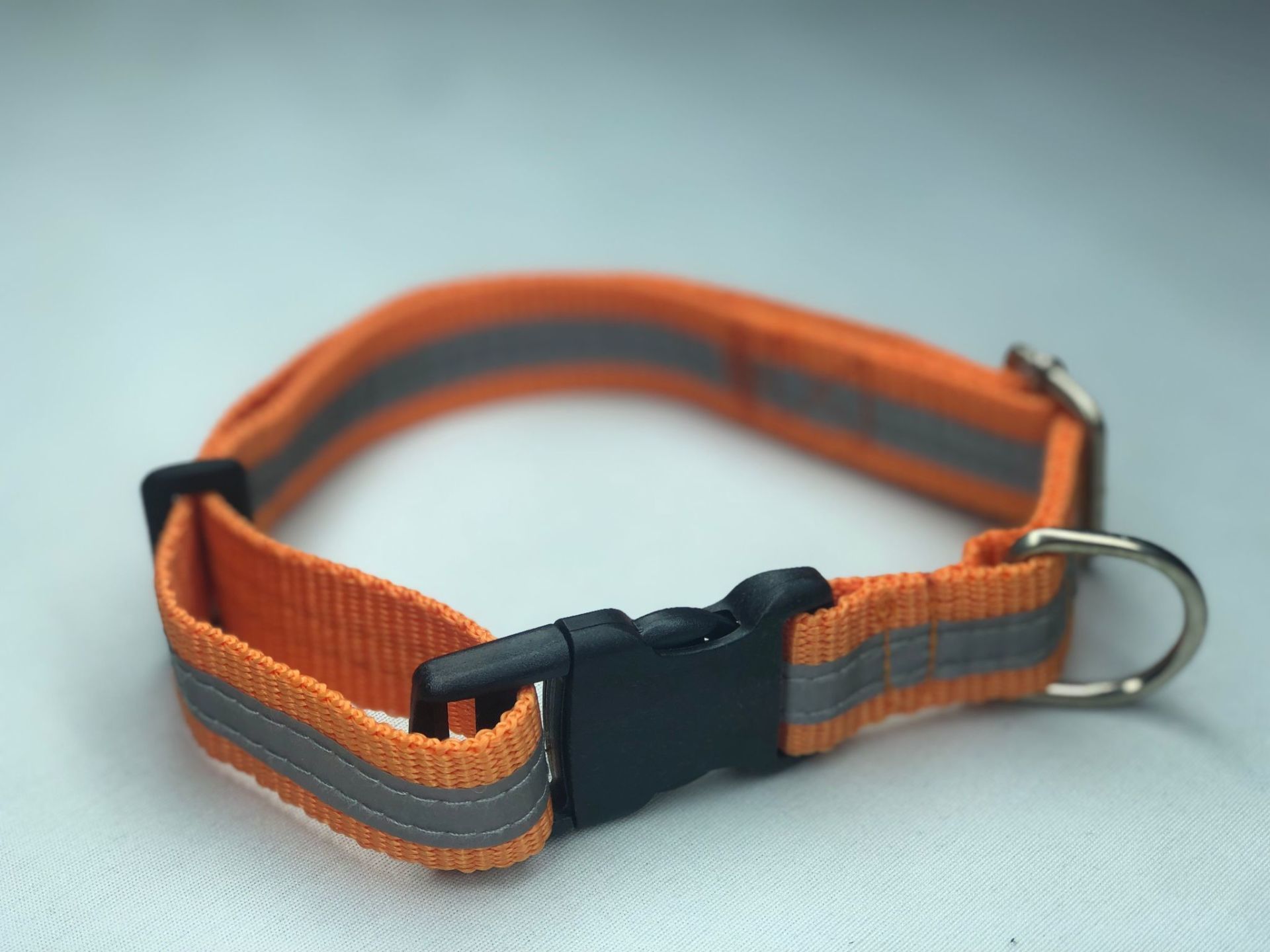 Mor Lama Köpek Boyun Tasması Plastik Tokalı Reflektörlü Turuncu