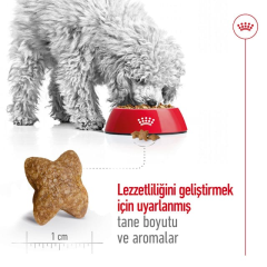 Royal Canin Adult Mini Köpek Maması 4kg