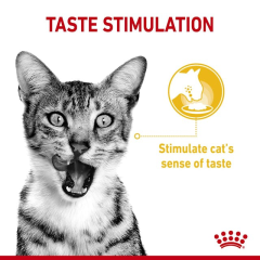 Royal Canin Sensory Taste Pouch 12li Paket